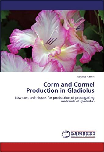 Corm and Cormel Production in Gladiolus: Low cost techniques for production of propagating materials of gladiolus indir