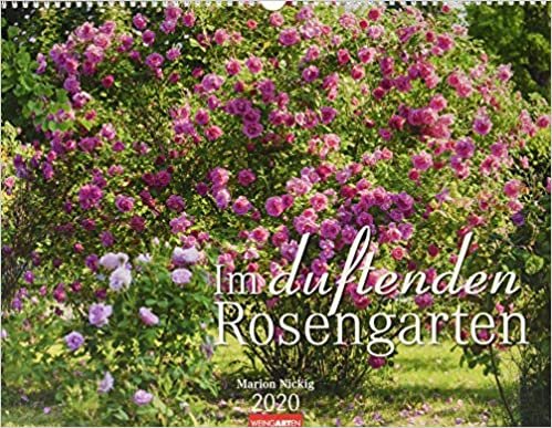 Im duftenden Rosengarten 2020