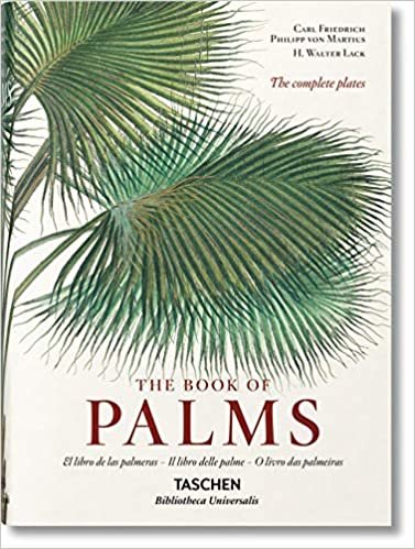 Ko-Martius. the Book of Palms Iep