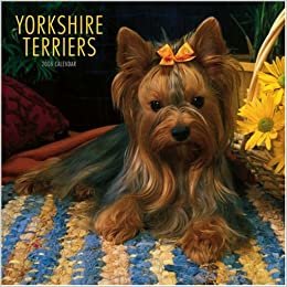 Yorkshire Terriers 2008: Wall