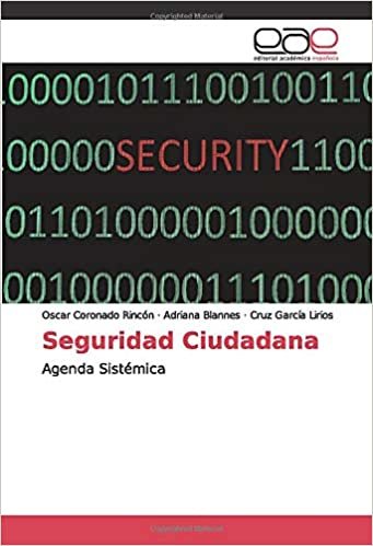 Seguridad Ciudadana: Agenda Sistémica