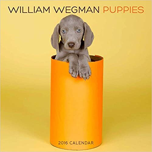 William Wegman Puppies 2016 Calendar (Abrams Calendars)