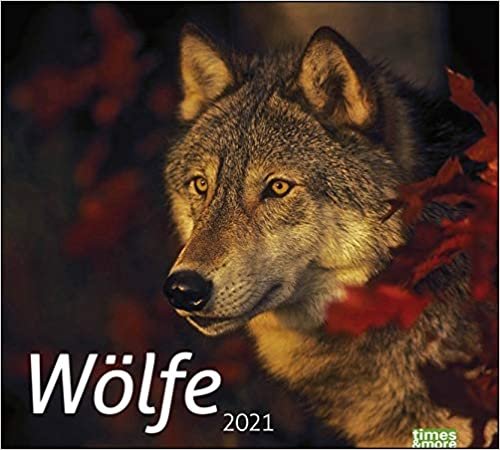 times & more Wölfe Bildkalender 2021