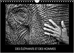 Des Elephants Et Des Hommes 2017: La Relation Entre Les Elephants Et Les Hommes En Asie Du Sud-Est (Calvendo Animaux)