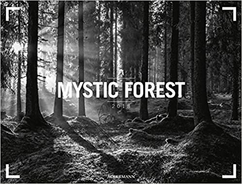 Mystic Forest 2018: NEU (Gallery)