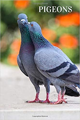 Pigeons: Composition Book/Animal Notebook/110 Pages/Lined/6 x 9 in./great for writing notes and ideas for home use or school homework/perfect for anyone that loves animals