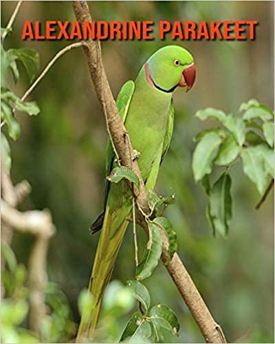 Alexandrine Parakeet: Beautiful Pictures & Interesting Facts Children Book About Alexandrine Parakeet