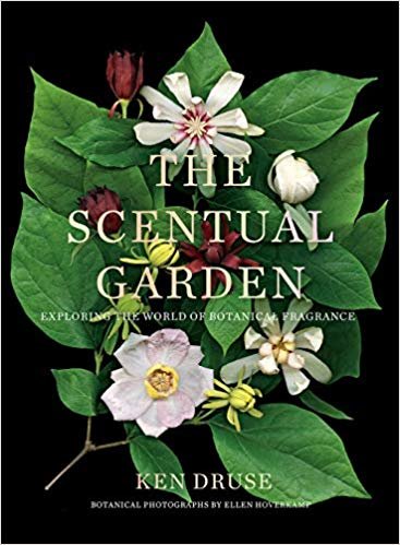 The Scentual Garden: Exploring the World of Botanical Fragrance indir