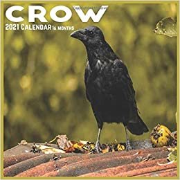 Crow 2021 Calendar: Official Crows Bird Wall Calendar 2021