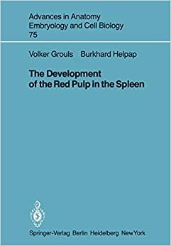 The Development of the Red Pulp in the Spleen (Advances in Anatomy, Embryology and Cell Biology) indir