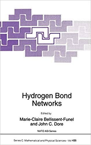 Hydrogen Bond Networks: Proceedings of the NATO Advanced Research Workshop, Cargese, France, August 16-22, 1993 (Nato Science Series C:)