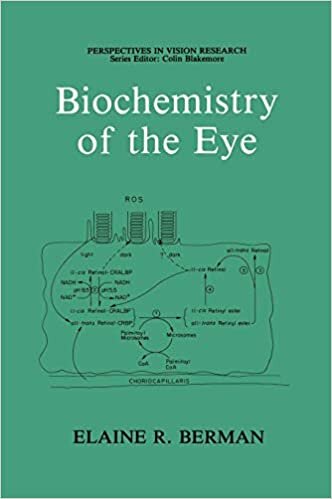 Biochemistry of the Eye (Perspectives in Vision Research)