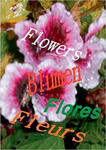 Flowers Blumen Fleurs Flores: Calendar Book Kalenderbuch Calendrier Livre Calendario Libro indir