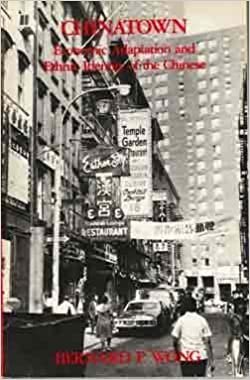 Chinatown, Economic Adaptation and Ethnic Identity of the Chinese (Case Studies in Cultural Anthropology)