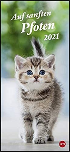 Katzen slim - Auf sanften Pfoten Kalender 2021