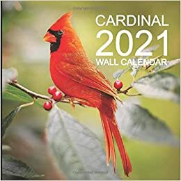 Cardinal 2021 Wall Calendar: Mini Wall Calendar Bird Photography 12 Month Calendar Planner