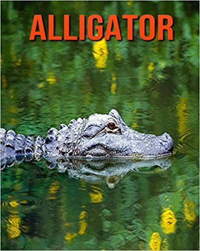 Alligator: Childrens Book Amazing Facts & Pictures about Alligator