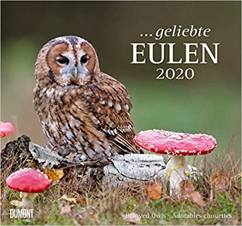 Geliebte Eulen 2020