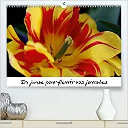 Du jaune pour fleurir vos journées (Premium, hochwertiger DIN A2 Wandkalender 2021, Kunstdruck in Hochglanz): Des fleurs jaunes pour ensoleiller vos ... mensuel, 14 Pages ) (CALVENDO Nature)