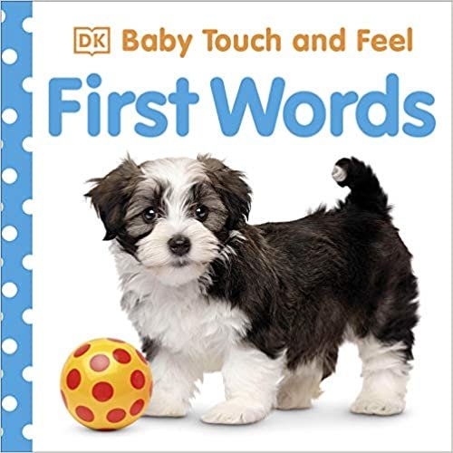 Baby Touch and Feel First Words indir