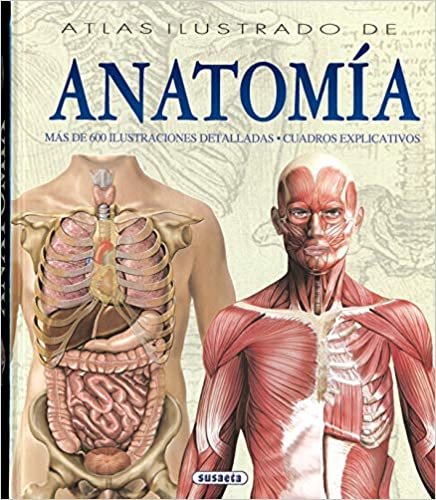 Atlas Ilustrado de Anatomia = Atlas Illustration of Anatomy