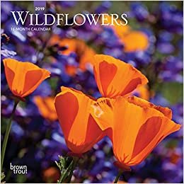Wildflowers 2019 Calendar indir