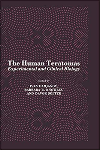 The Human Teratomas: Experimental And Clinical Biology (Contemporary Biomedicine)