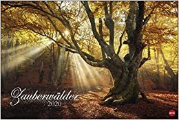 Zauberwälder 2020 indir