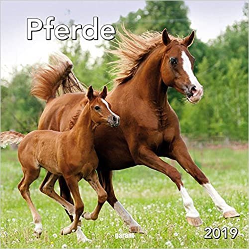 Monatskalender Pferde 2019
