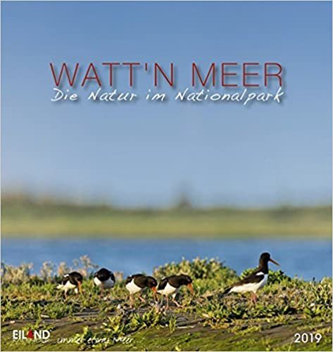 Watt'n Meer... Die Natur an der Küste 2019: Postkartenkalender indir