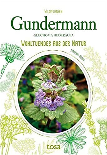 Gundermann: Wohltuendes aus der Natur