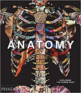 Anatomy: Exploring the Human Body