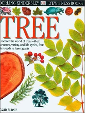 Tree (DK Eyewitness Books)