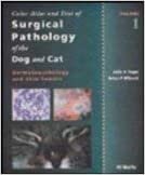 Color Atlas and Text of Surgical Pathology of the Dog and Cat. Volume 1: Dermatopathology and Skin Tumors: Pt. 1 indir