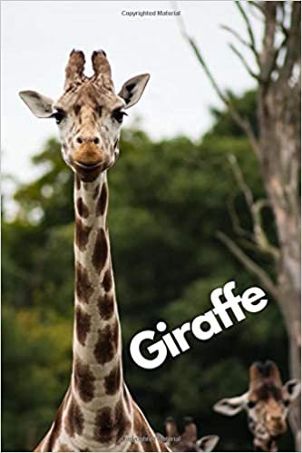 Giraffe: Animal Notebook for Kids, Notebook for Coloring Drawing and Writing (110 Pages, Unlined, 6 x 9) (Animal Glossy Notebook)