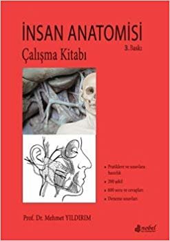 İnsan Anatomisi Çalışma Kitabı indir