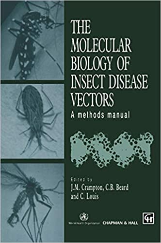 The Molecular Biology of Insect Disease Vectors: A Methods Manual indir