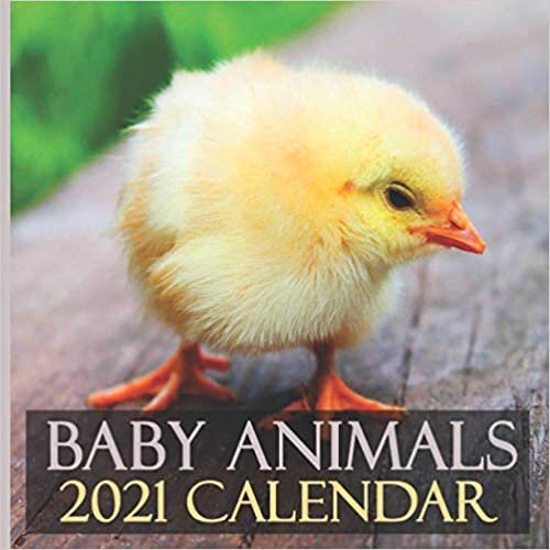 Baby Animals 2021 Calendar: 2021 Wall Calendar 12 Months - Baby Animals illustrations (8.5x8.5 inch)