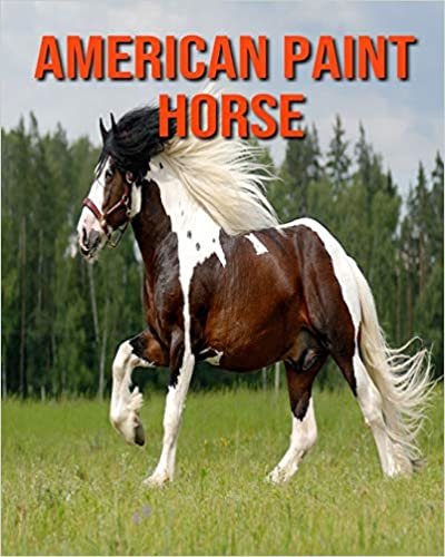American Paint Horse: Amazing Pictures and Facts About American Paint Horse