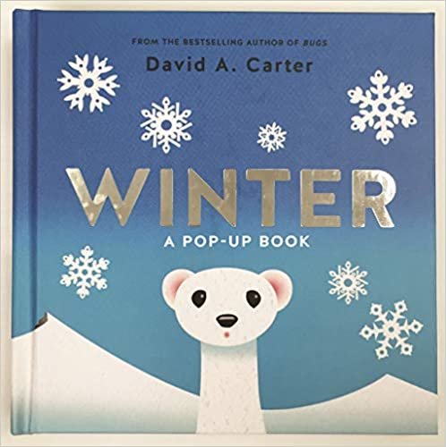 Winter: A Pop-up Book