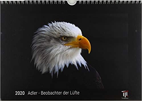 Adler - Beobachter der Lüfte 2020 - Black Edition - Timokrates Kalender, Wandkalender, Bildkalender - DIN A4 (ca. 30 x 21 cm)
