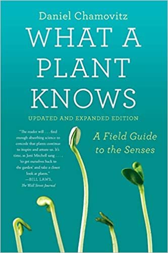 What a Plant Knows: A Field Guide to the Senses: Updated and Expanded Edition