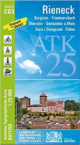 Rieck 1 : 25 000 ATK C03 (ATK25 Amtliche Topographische Karte 1:25000 Bayern)