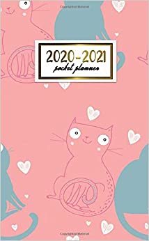 2020-2021 Pocket Planner: 2 Year Pocket Monthly Organizer & Calendar | Cute Two-Year (24 months) Agenda With Phone Book, Password Log and Notebook | Turquoise & Pink Cartoon Cat Print indir