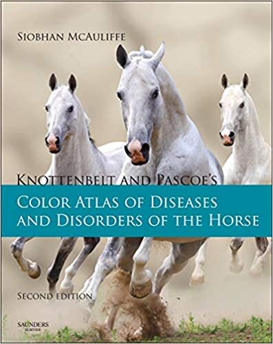Knottenbelt and Pascoe's Color Atlas of Diseases and Disorders of the Horse, 2e
