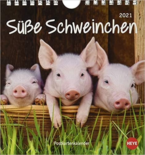 Schweinchen Postkartenkalender 2021 - Kalender mit perforierten Postkarten - zum Aufstellen und Aufhängen - mit Monatskalendarium - Format 16 x 17 cm