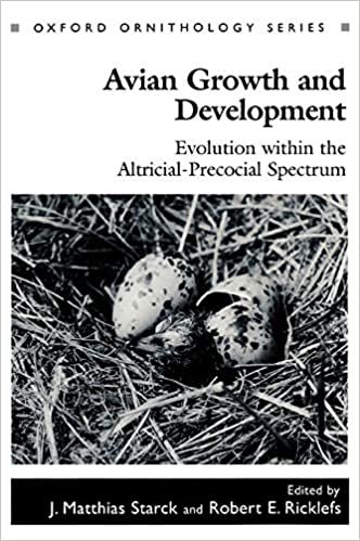 Avian Growth and Development: Evolution Within the Altricial-Precocial Spectrum (Oxford Ornithology Series)