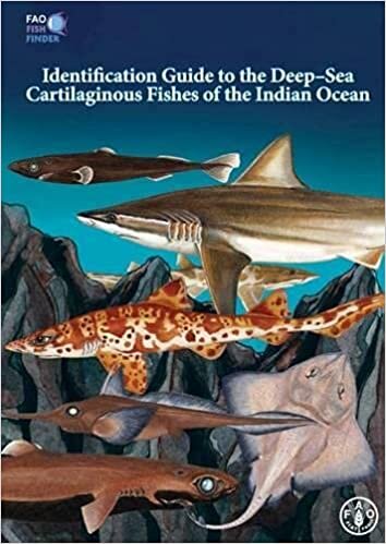 Identification Guide to the Deep-Sea Cartilaginous Fishes o indir
