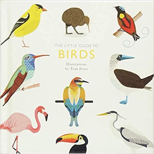The Little Guide to Birds (Little Guides) indir