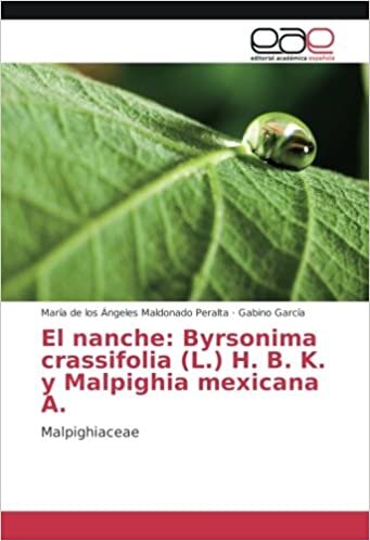 El nanche: Byrsonima crassifolia (L.) H. B. K. y Malpighia mexicana A.: Malpighiaceae
